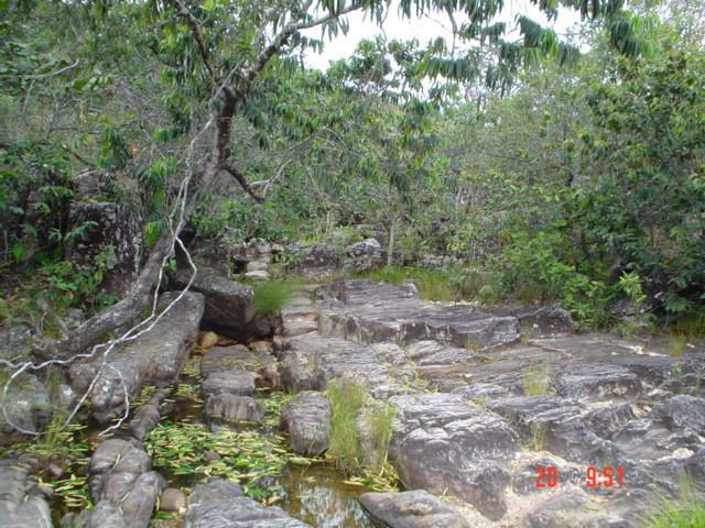 DSC03354