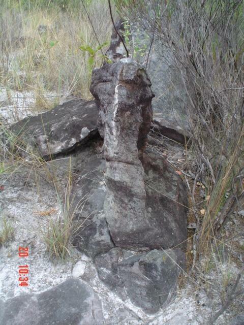 DSC03362