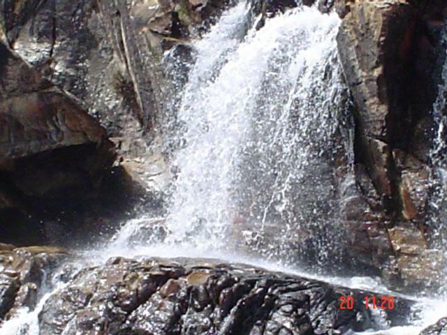 DSC03383