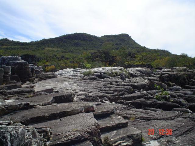 DSC03387