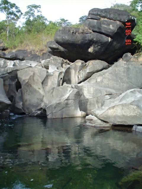 DSC03313