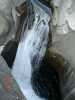 DSC03309