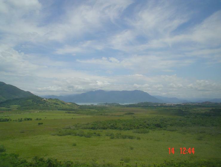 DSC00539