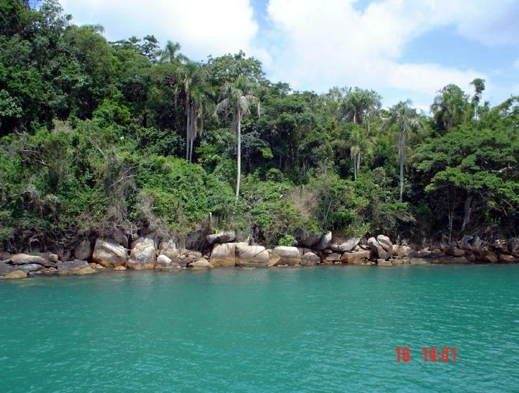 DSC00731