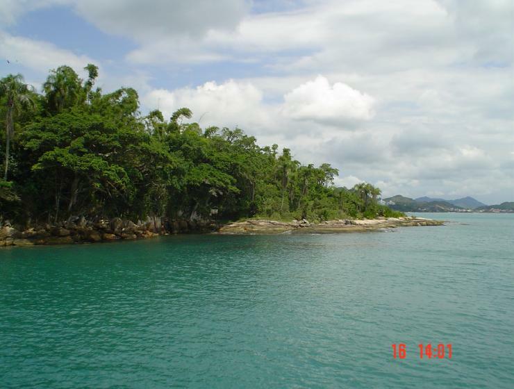 DSC00732