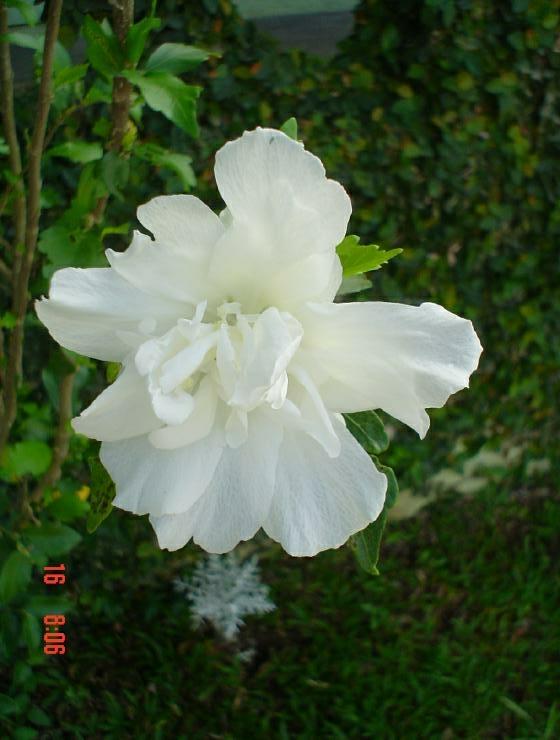 DSC00669