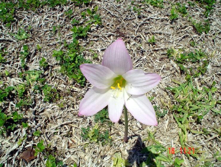 DSC00719