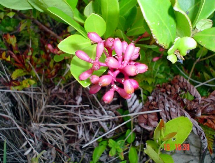 DSC00750