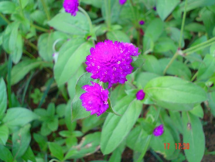 DSC00804