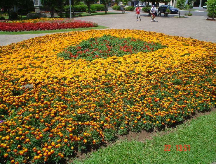 DSC00973