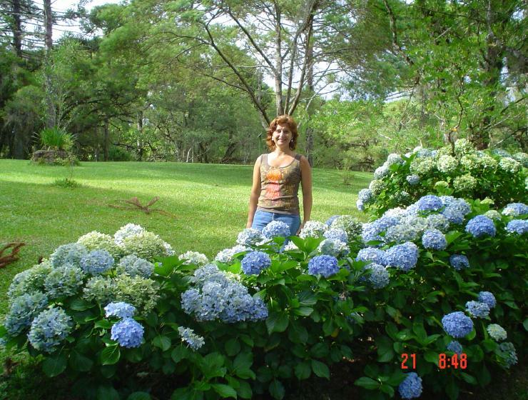 DSC00883
