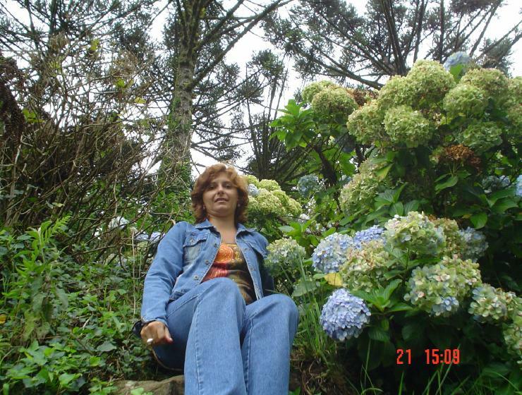 DSC00937