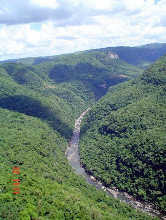 DSC00959