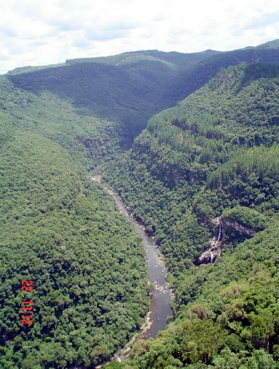 DSC00960
