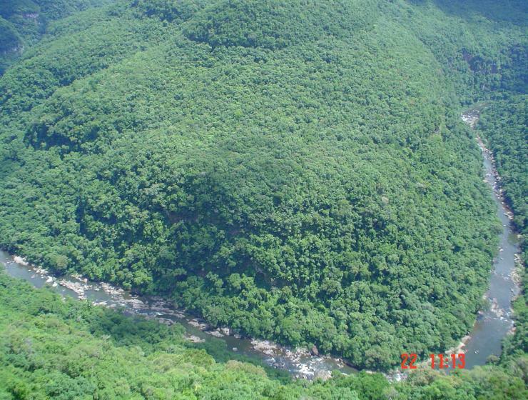 DSC00961