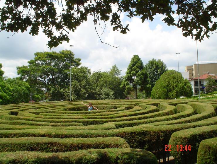 DSC00969