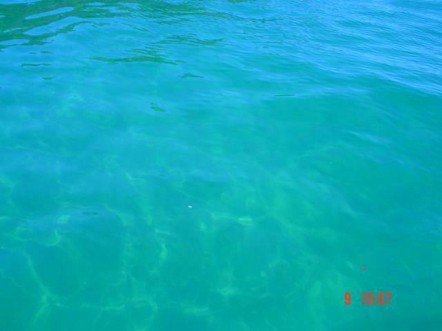 DSC04651