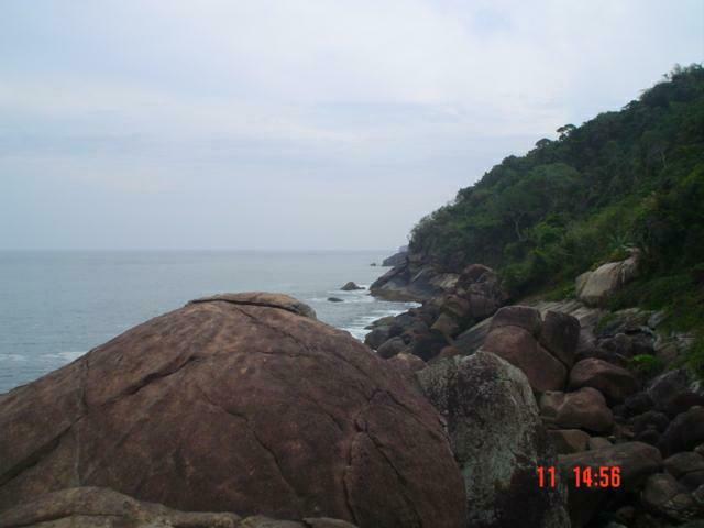 DSC04800