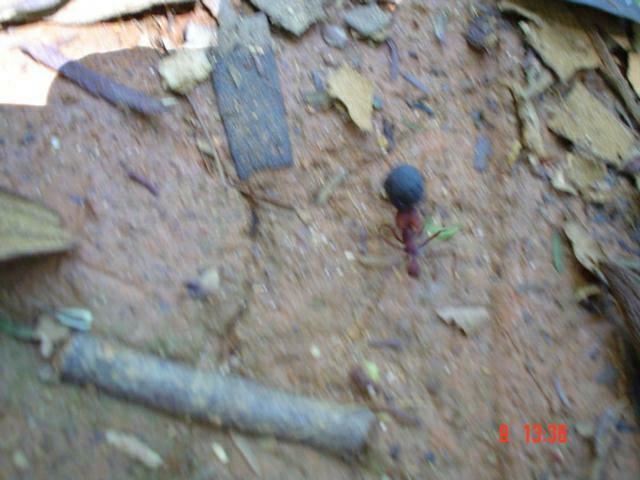 DSC04671