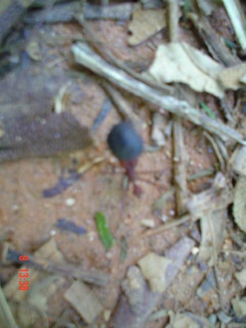 DSC04672