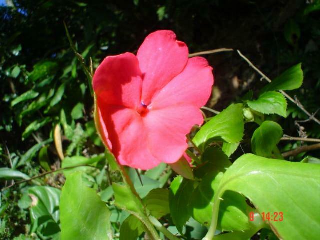 DSC04682