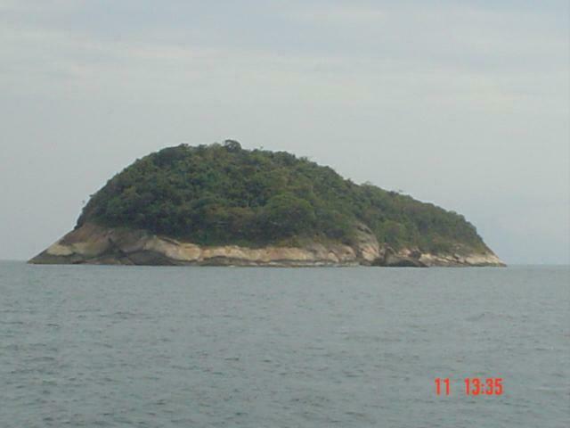 DSC04784