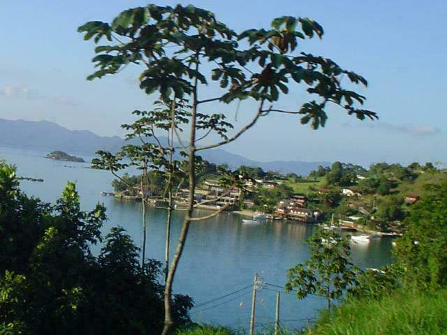 DSC04618