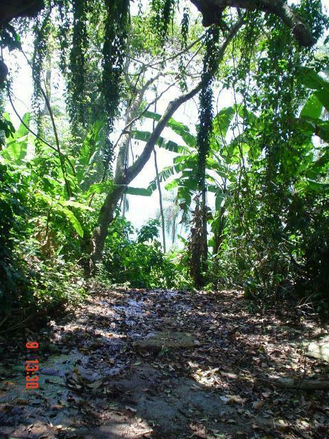 DSC04668