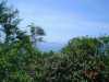 DSC04656