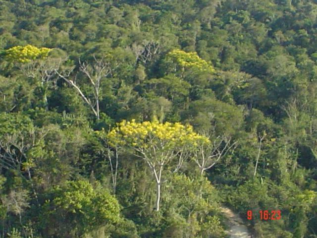 DSC04701
