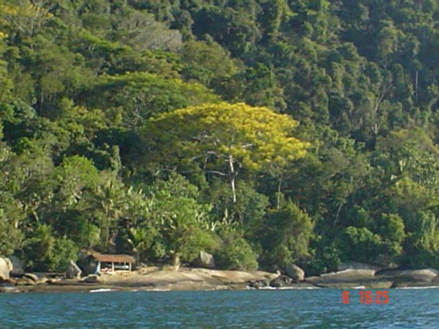 DSC04703