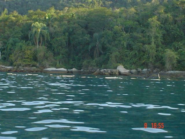 DSC04706