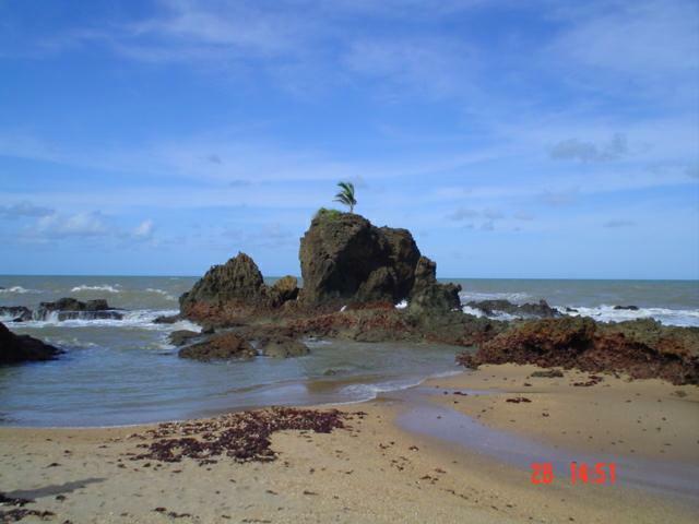 DSC02265