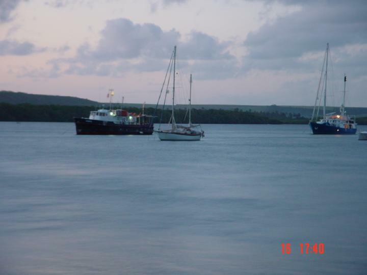 DSC04481