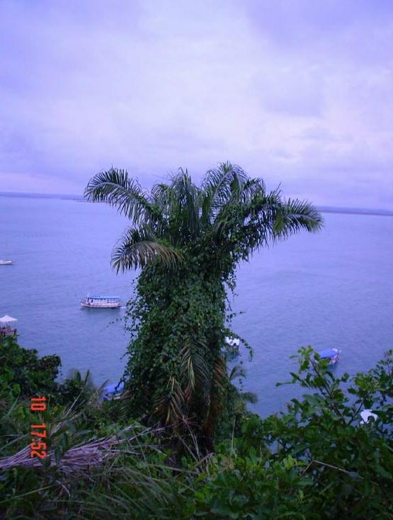 DSC00481