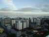 DSC00447