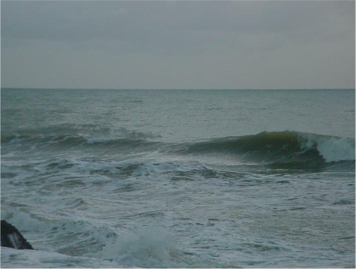 DSC00255
