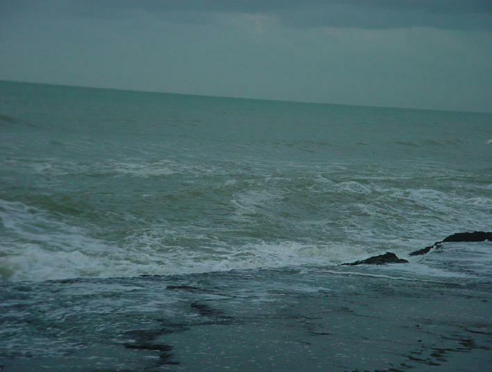 DSC00256
