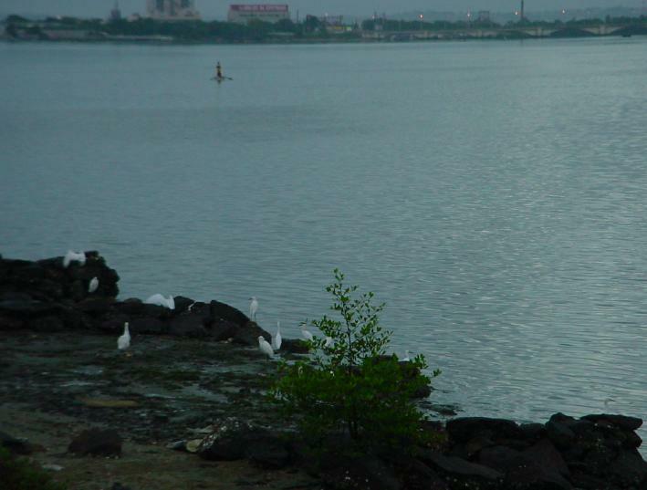 DSC00261