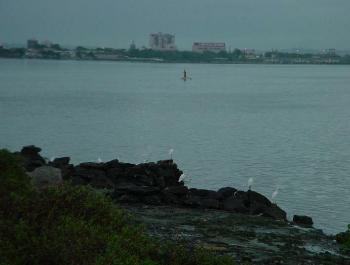 DSC00262