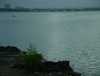 DSC00260