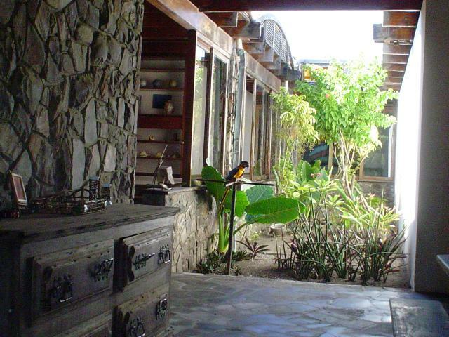 DSC06377