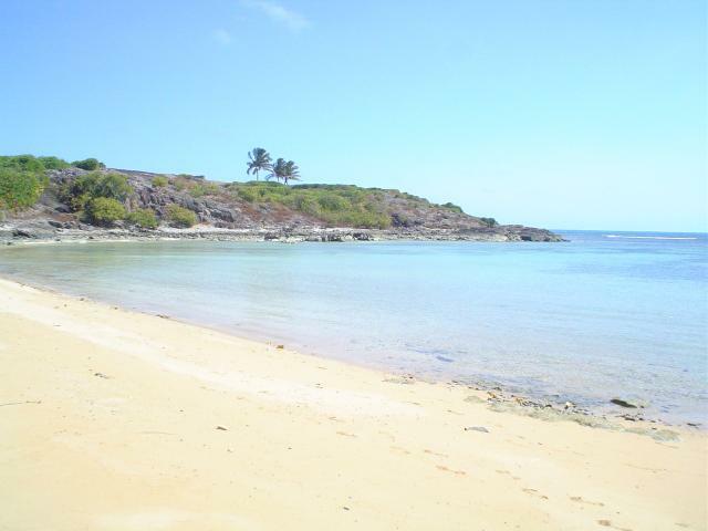 DSC06381