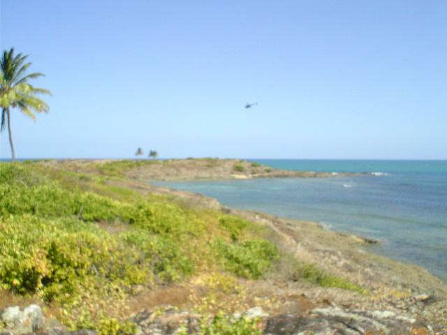 DSC06385