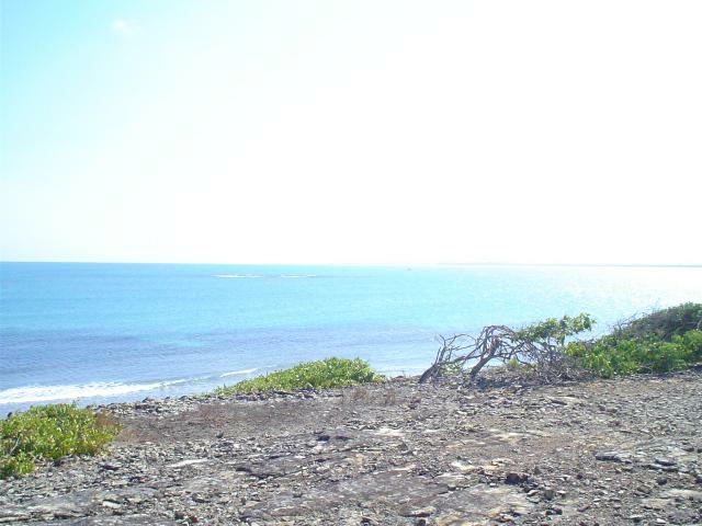 DSC06386