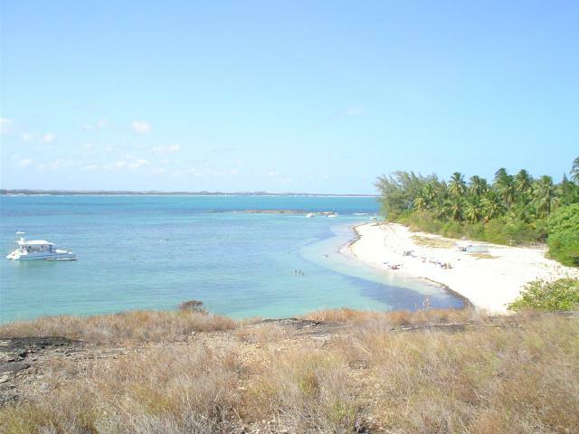 DSC06390