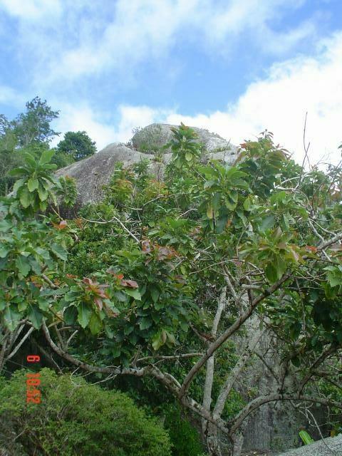 DSC03062