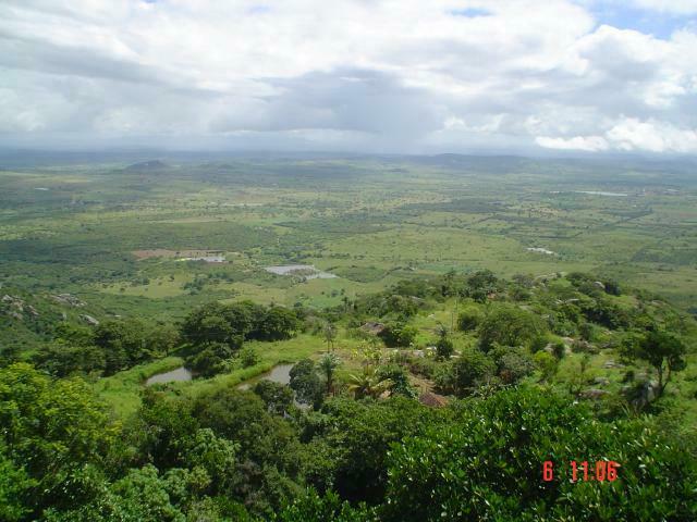 DSC03074