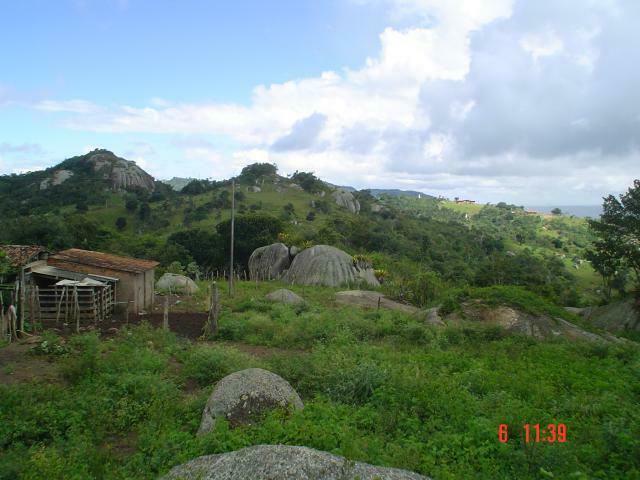 DSC03085