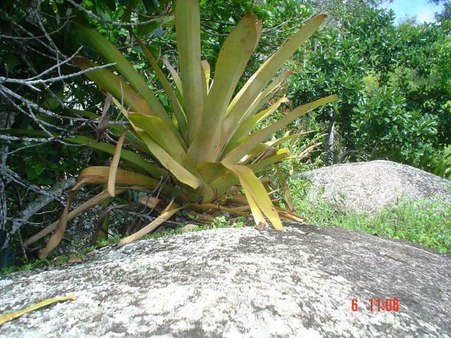 DSC13073